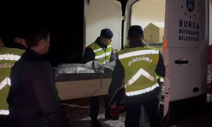 İznik'te Şoke Eden Cinayet: 18 Yaşındaki Gencin Yanmış Cesedi Bulundu, Arkadaşı Gözaltında